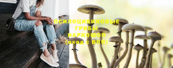 jwh Бородино