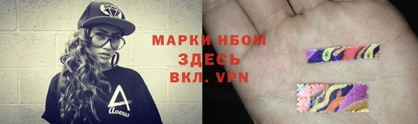 сатива Бронницы