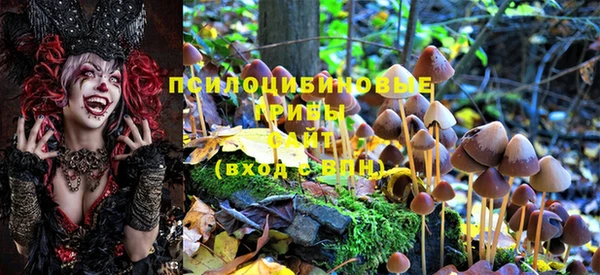 круглые Верея