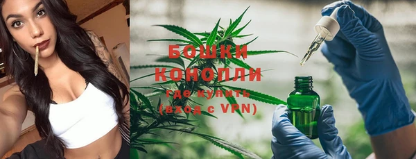 сатива Бронницы